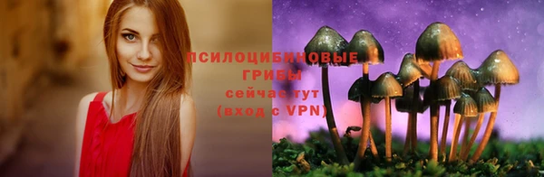 ПСИЛОЦИБИНОВЫЕ ГРИБЫ Зерноград