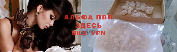 ПСИЛОЦИБИНОВЫЕ ГРИБЫ Зерноград