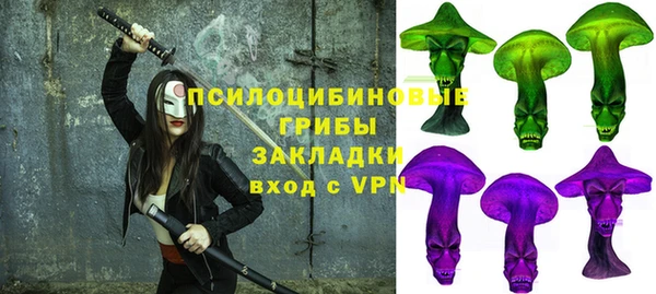 ПСИЛОЦИБИНОВЫЕ ГРИБЫ Зерноград