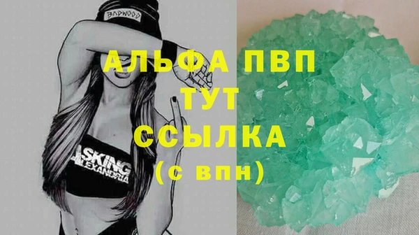 прущие крисы Ельня