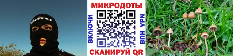 купить наркотик  Кандалакша  Галлюциногенные грибы GOLDEN TEACHER 