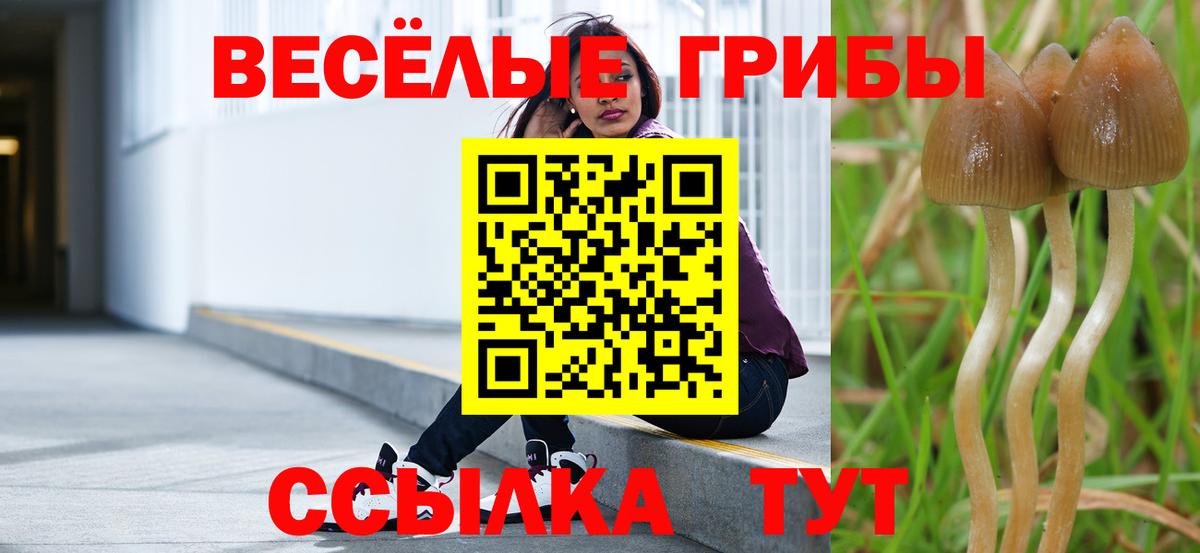 Псилоцибиновые грибы MAGIC MUSHROOMS Кандалакша