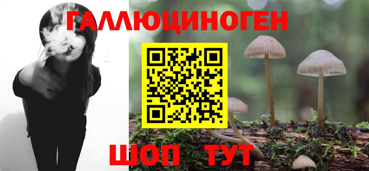 Кандалакша  Галлюциногенные грибы Cubensis  Вход с VPN 