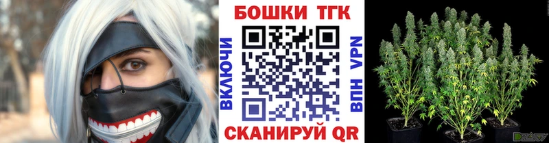 Конопля индика  Кандалакша 