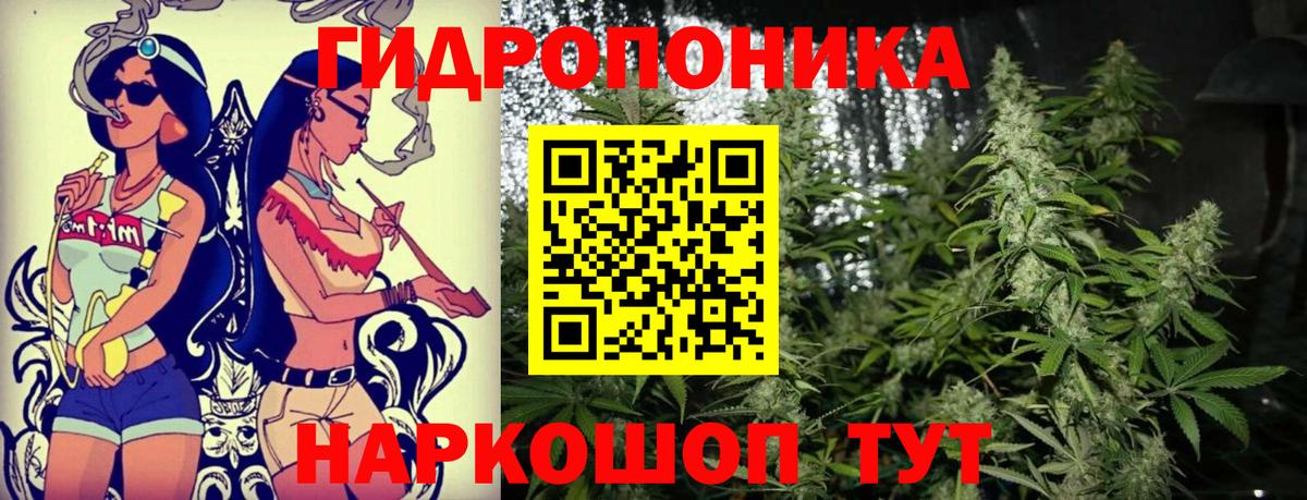 Конопля марихуана  Бошки Шишки планчик  Марихуана SATIVA & INDICA  Кандалакша  Вход с VPN 